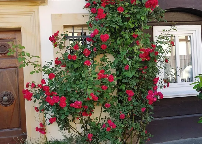 Niedere Muehlwiese Grossschoenau